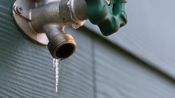 Best Plumbing Inspection Services  in Pasadena, TX